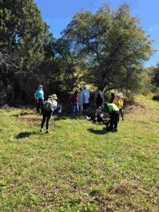 30b8d500-2dde-44a5-937d-1b10fc742e63