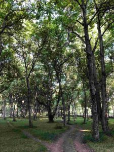 8a85e76b-3a35-4986-b57c-2b34aa0635b0